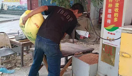 新乡延津：“点对点”保障“三秋”农资供应