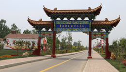 栉风沐雨奋进路 不负韶华再出发：苗桥镇“非凡十年”经济社会发展成就综述