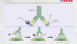 前抗体技术先驱25亿美金市值“归零”，被误会的逆袭故事