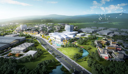 成都蒲江：持续做优做强现代农业，为建设更高水平的“天府粮仓”作出蒲江贡献