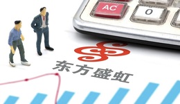 東方盛虹：千億負(fù)債引關(guān)注，上半年“增收不增利”