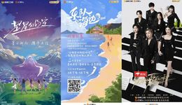 这是今年综艺“高分公式” 吗？