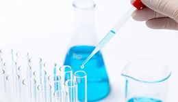 新成分黨力捧，阿魏酸成“明日之星”