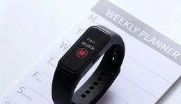 小透明也能站上C位：被遺忘的小眾數(shù)碼市場