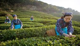 浙江探索“农户家庭资产负债表融资模式”  助力农民共同富裕