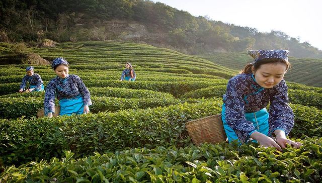 浙江探索“农户家庭资产负债表融资模式”  助力农民共同富裕