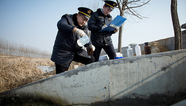 非凡十年，青岛市交出亮眼生态环保碧水答卷