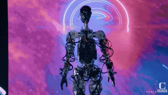 人形机器人,特斯拉