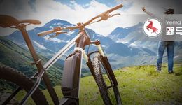 国庆长假冒风上路，骑行、露营热催熟4000亿市场