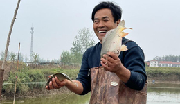 商丘虞城：养鱼致富有奔头 托起村民致富梦