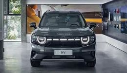 自游家NV，没有形容词