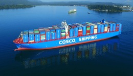 日赚超三亿，股价跌五成，中远海控还能继续躺赚吗？