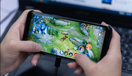 被嫌棄的黑鯊的一生