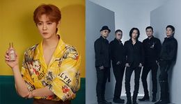 风华秋实：第五次提交招股书，依赖鹿晗2022上半年收益1070万元