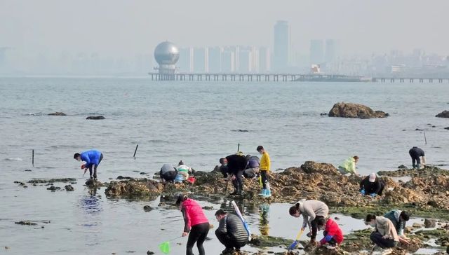 烟台,海鲜,赶海,海肠