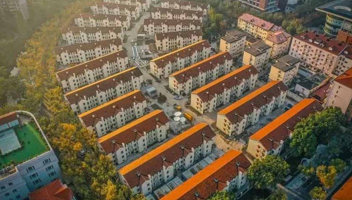 探寻人民城市的烙印！普陀这的变化你发现了吗？