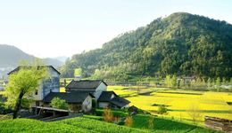 年轻人向往的田园生活，正在打开新的流量密码