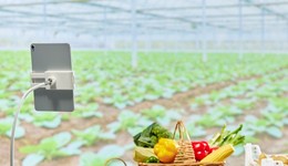 像素級(jí)模仿新東方，“老對(duì)手”好未來(lái)被動(dòng)了嗎?