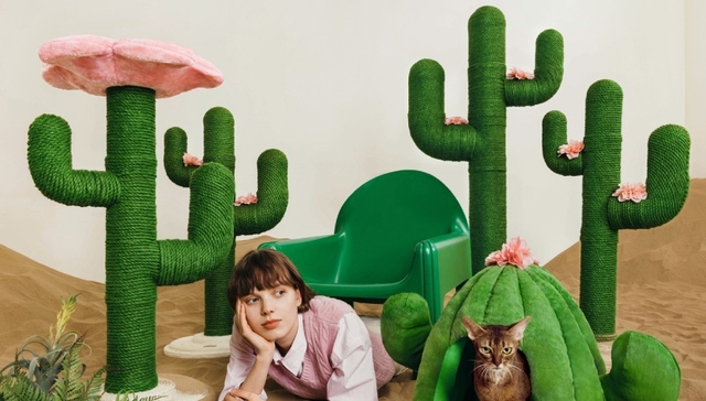 品牌,消费,糕点,投资,时尚