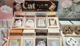 当国货彩妆的“翅膀”扇动至海外