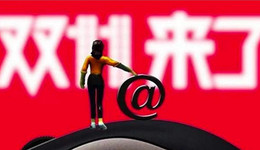 双11大促，哪些赛道会被疯狂种草？