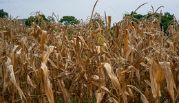 信阳潢川教体局“三到位”扎实推进秸秆禁烧督查工作