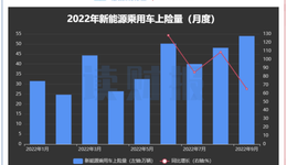 上险量透视新能源车排名：比亚迪、特斯拉稳居头部