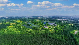 后来居上的白鹭湾，初见成都“未来公园生活”雏形