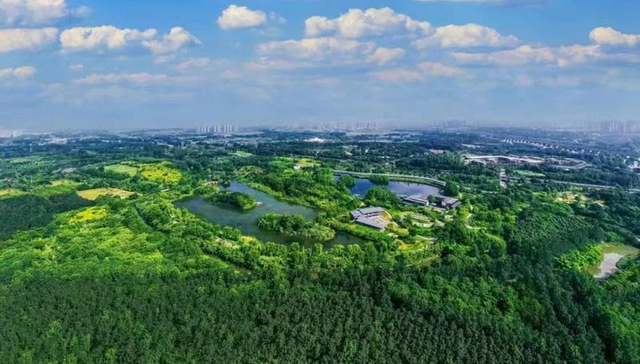 后来居上的白鹭湾，初见成都“未来公园生活”雏形