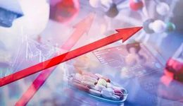 医药股深秋回春，昙花一现还是大势所趋？