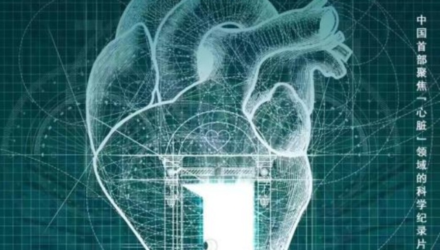 纪录片,医疗,打开一颗心