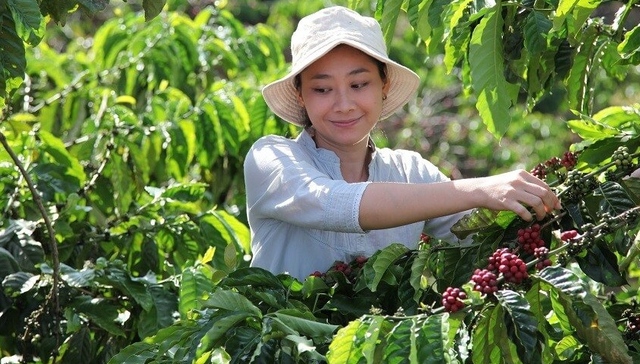 投资,服装,时尚,维密