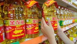 三季度扣非亏损，市值蒸发超五千亿，“油茅”金龙鱼褪色