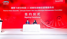 牵手世界500强！成都东部新区在进博会上展现强劲吸引力