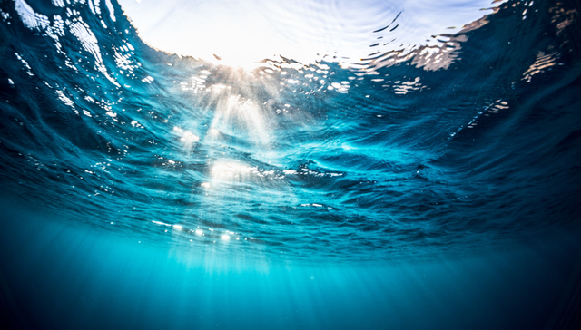 世纪天鸿,教育,教材,信息化,IPO