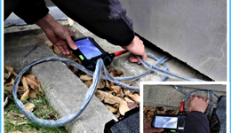 1億貓狗，帶火寵物“偵探”