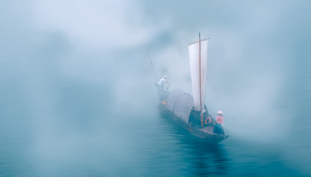 盛通股份,教育,A股,财报,投资