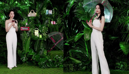 请熟人，造场景，为了让明星放松品牌有多拼？|双十一明星直播红黑榜③