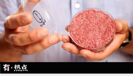 吃植物肉餅，敲電子木魚，積賽博功德