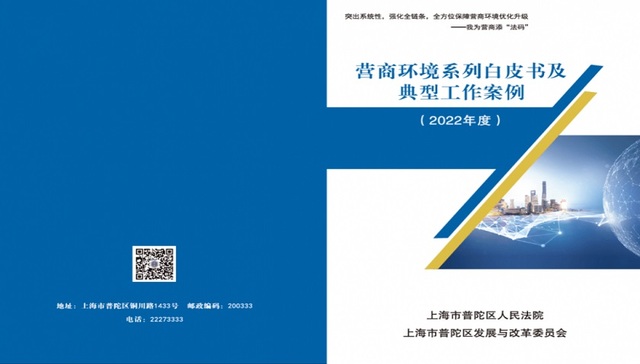 突出系统性，强化全链条，普陀法院全方位保障营商环境优化升级 
