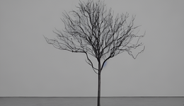 講透AI藝術(shù)：緣起、意義和未來（上篇）