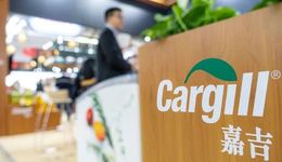 國(guó)際糧商嘉吉敲定第10任CEO，新帥到底什么來(lái)頭