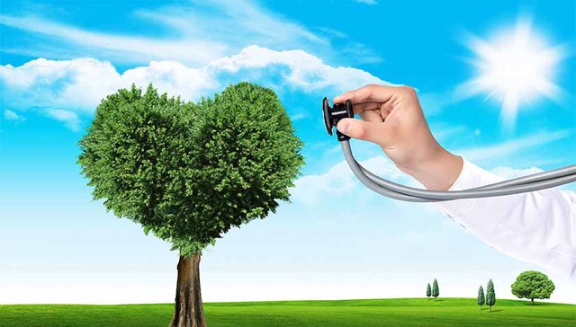 疫情期间，不同年龄段的孩子如何进行心理疏导？