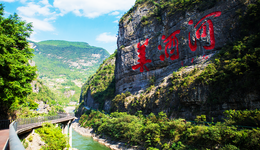 380亿、50个项目，贵州酱酒产业招商引资再提速？