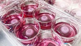 硅谷前沿美妆品牌的技术故事：逆转年龄的治疗的关键是什么？