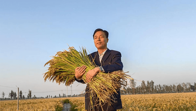 【“四水同治”助推乡村振兴】河南省水利厅驻东张村第一书记王海东绘就“强村富民”路