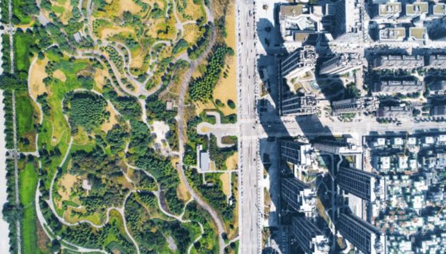 十年磨一剑 中央公园崭新的时代已经到来