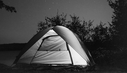 TOPBRAND | 海货郎/GoSafari获融资；蜜雪冰城进军日本；Pantone发布2023年度代表色