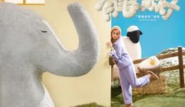 當(dāng)明星出刀，Ubras和野獸派成了韭菜