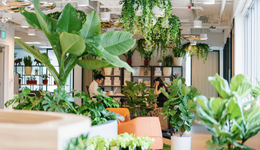 我在新加坡做共享辦公